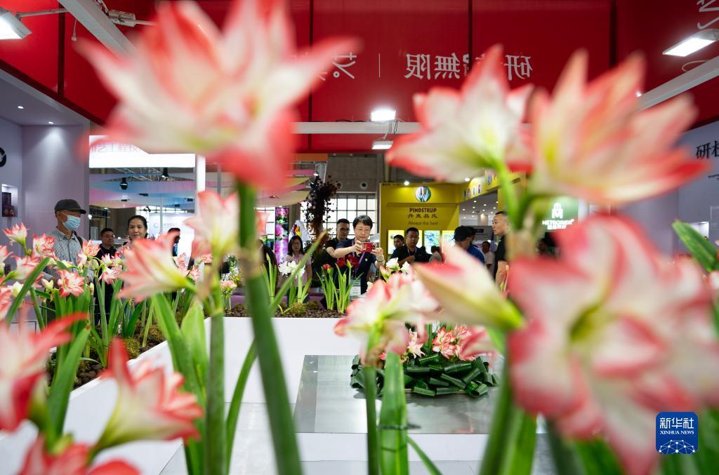 325九线拉王技巧